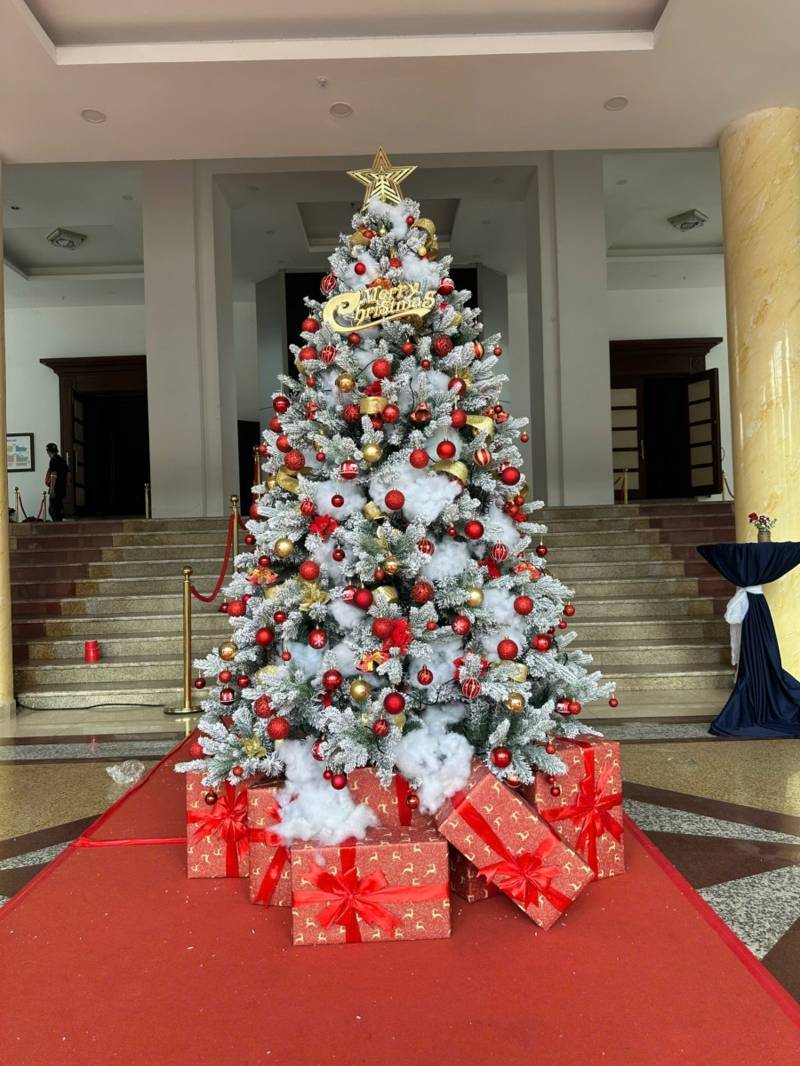Báo Giá Trang Trí Cây Thông Noel Tại Hóc Môn. Ảnh 1